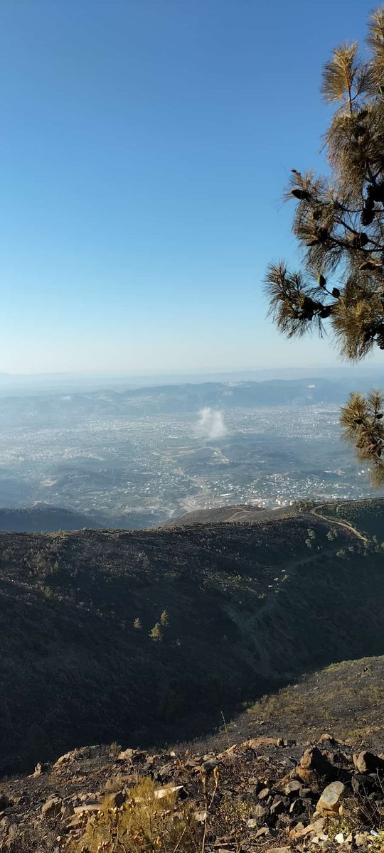 BekirKARACABEY_'s tweet photo. #Hatay’da meydana gelen orman yangınını arkadaşlarımızın fedâkârca çalışmaları ile Kontrol Altına Aldık. 

Büyük bir gayretle mücadele eden #OrmanınKahramanları'nın emeklerine, yüreklerine sağlık.

Böylesi yangınlara mahal vermemek için lütfen azami dikkat gösterelim. https://t.co/MchIzUwO5o