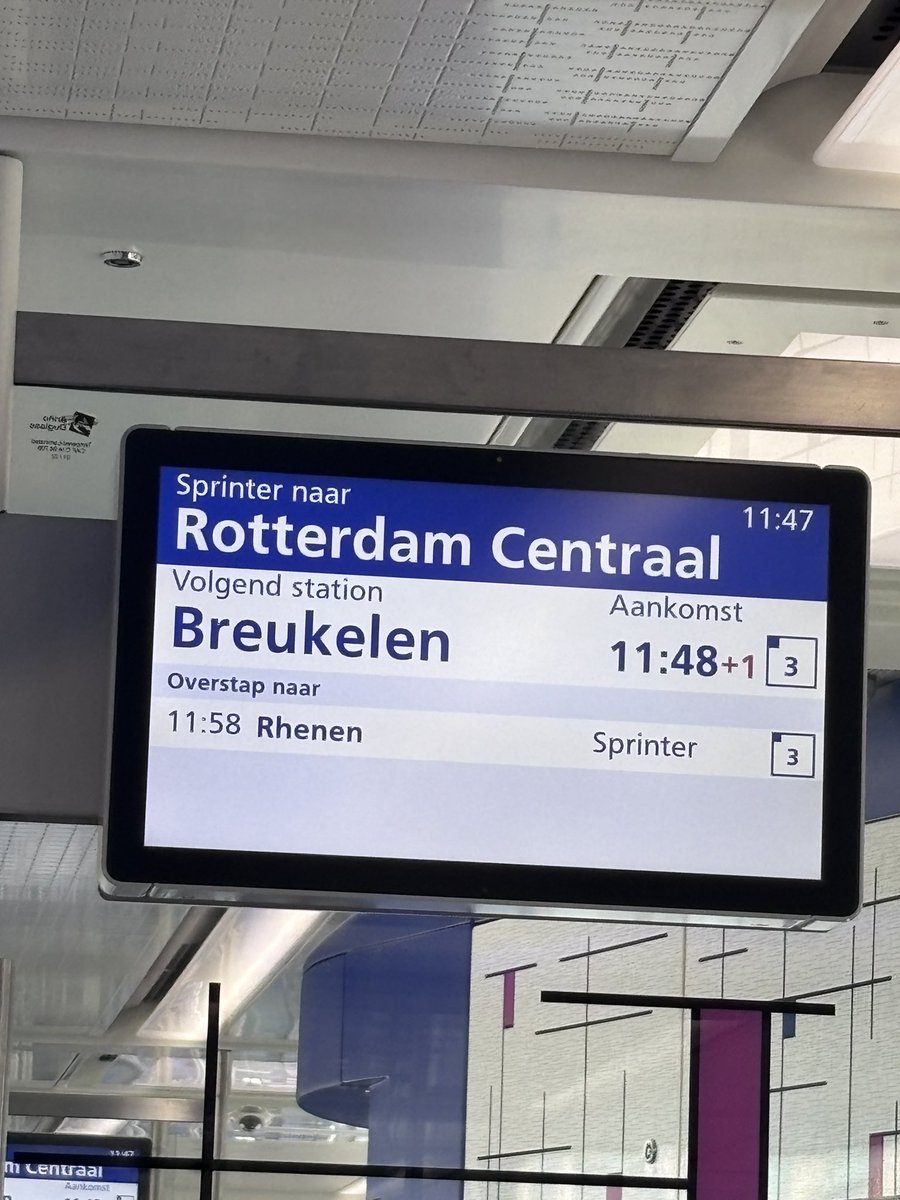 dutch train system so good it lets me take a pit stop at home in NY en route to get my chinese visa at The Hague