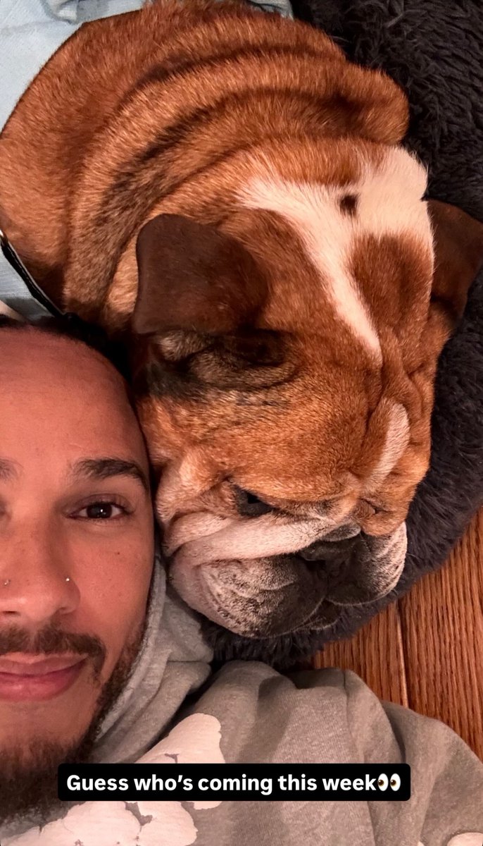 Lewis and Roscoe reunited for Silverstone! 🥹❤️