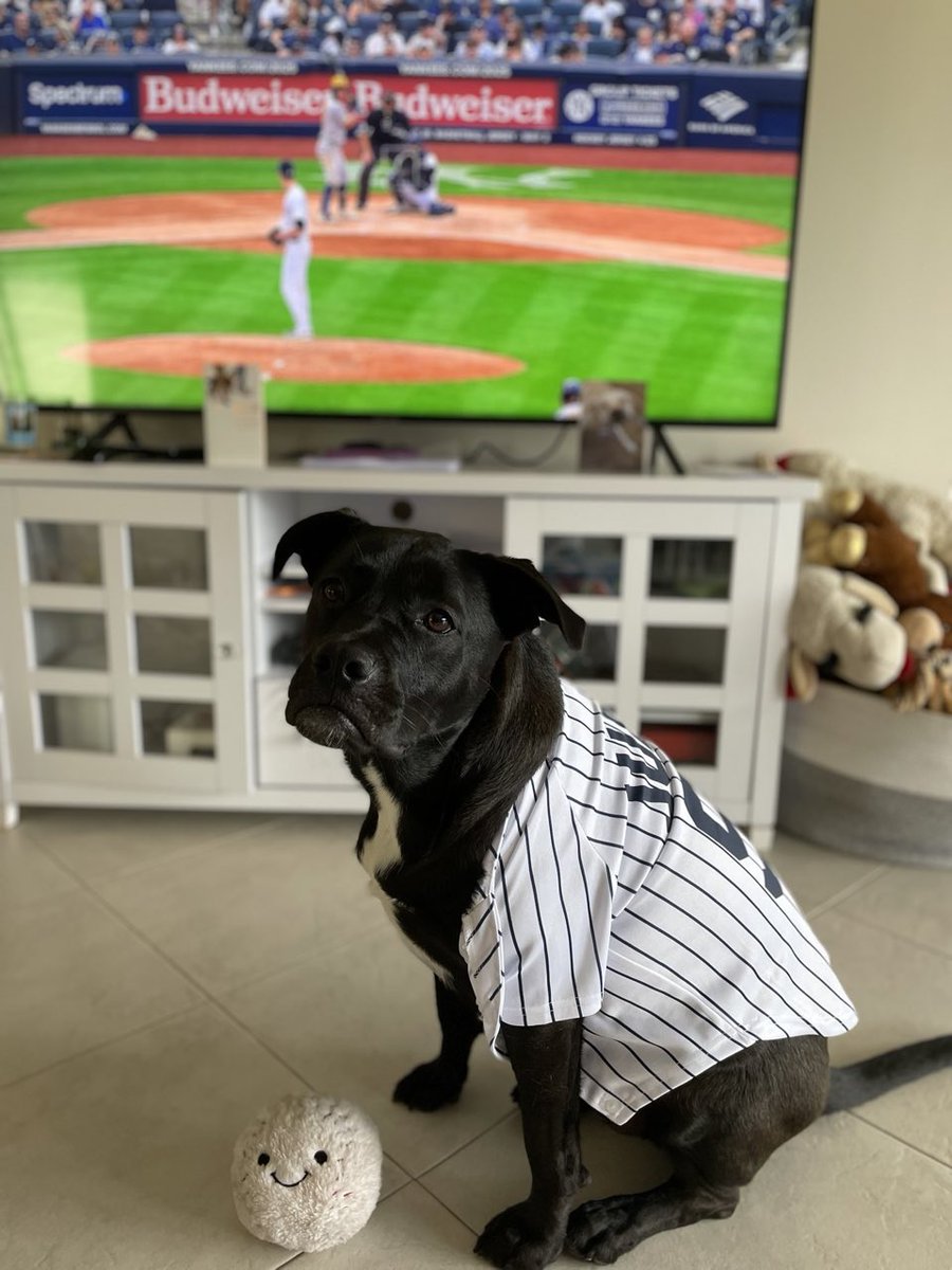 7MichelleLynn's tweet photo. @Yankees Lilly’s a big @TheJudge44 fan. https://t.co/g4A9njQzmw