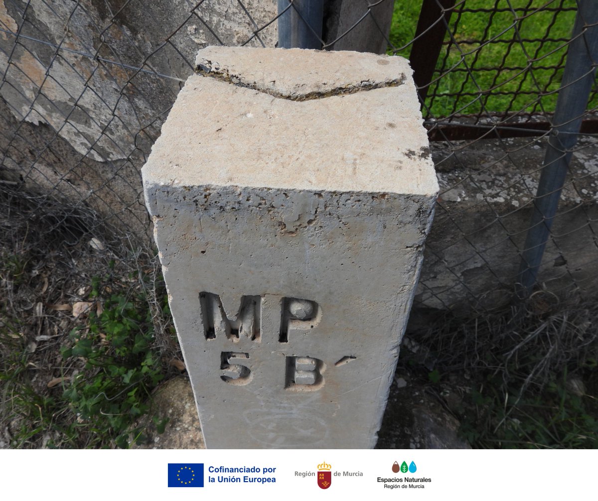 ¿Has visto mojones con “MP” en #ElVallePR?

Significa Monte Público: #EspaciosProtegidos y deslindados 🌳

Discretos pero importantes, cuentan historias de #Gestión y #cuidado

La próxima vez que veas uno, recuerda que caminas sobre #Historia

#EducaciónAmbiental #BuenasPrácticas
