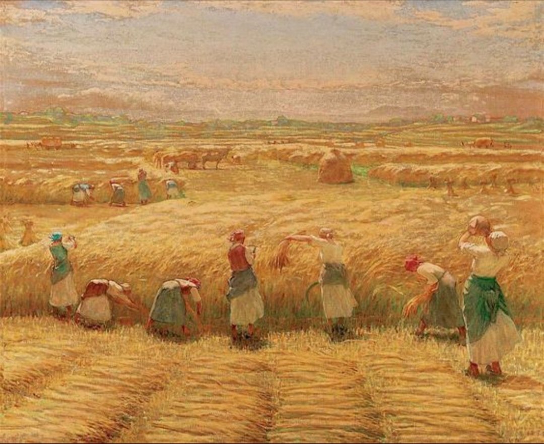 MissMar95298341's tweet photo. Ma vivere era l'immagine di un campo di grano che ondeggia al vento sul fianco di una collina... Vivere era una giarra di terra piena d'acqua nella polvere della trebbiatura, col grano lanciato in aria e la pula che vola.
#HernestHemingway

#BaldassareLongoni https://t.co/KtV221rzAi