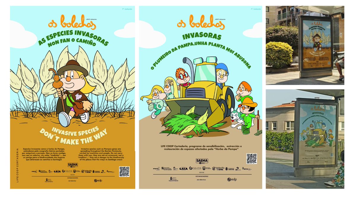stopcortaderia's tweet image. 🚨 ¡ATENCIÓN, VIGO!
La ciudad se ha llenado de carteles porque tenemos un mensaje urgente:
🌾 El plumero es una planta invasora
❌ No es un adorno
❌ Es una amenaza real para Galicia
Cada pluma = miles de semillas
Cada gesto cuenta: no la cortes, no la plantes, no la compartas