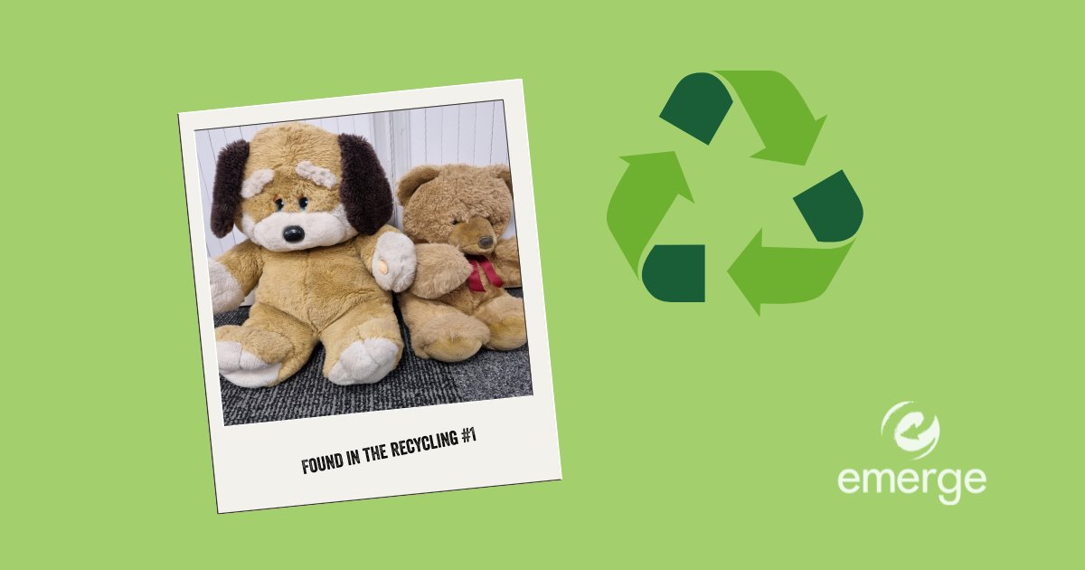 🐻Someone’s trying to bear all their secrets…
♻These teddies were found hiding in one of our clients’  confidential paper bins. While we’re all for cuddly companions, but let’s keep recycling clean and sorted – no stuffed surprises, please!  #BearlyConfidential #RecycleRight