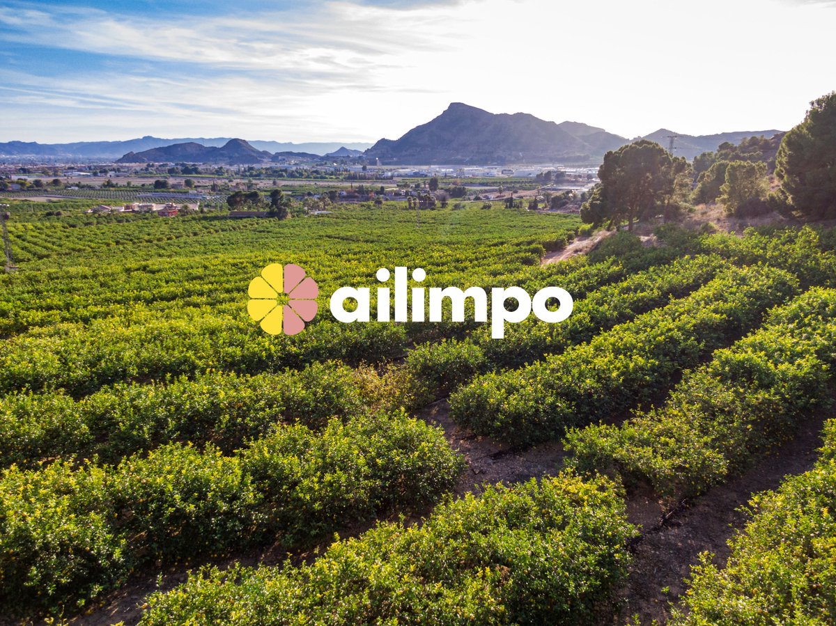 Semana 26.  Estado fitosanitario en los cultivos citrícolas, actualización materias activas y LMRs 🍋 🍊

ailimpo.com/semana-26-esta…