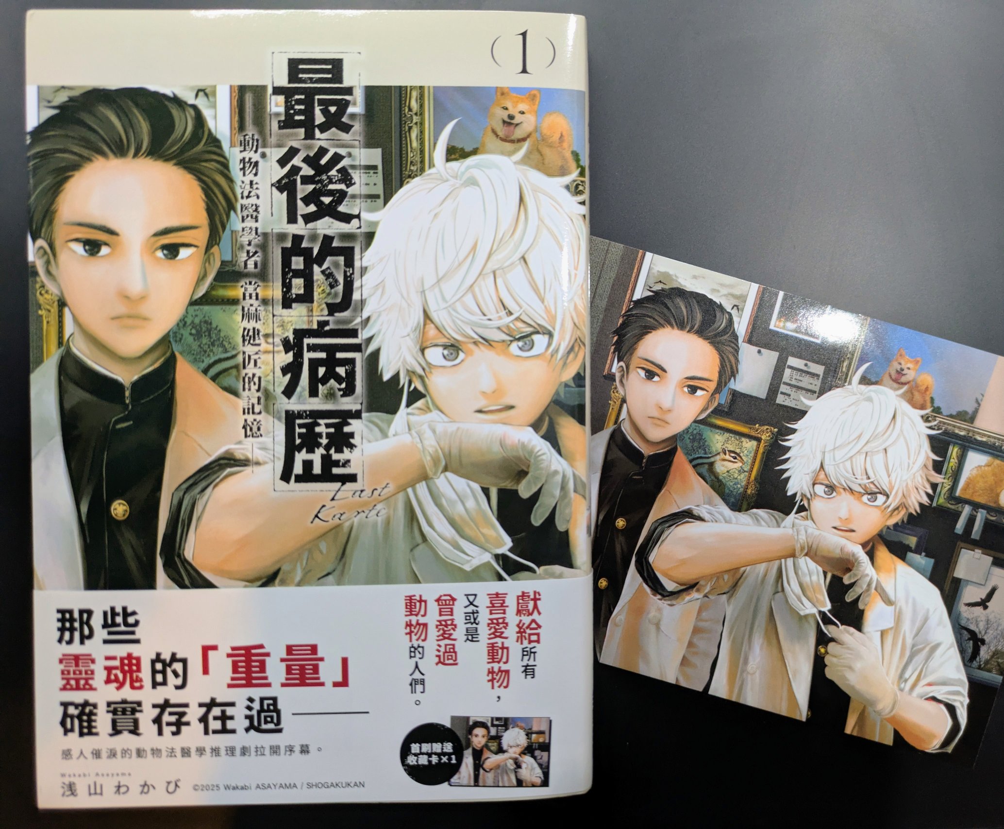 浅山わかび先生作品『ラストカルテ』全10巻 シュリンク未開封帯付初版1刷 ラストカルテ -法獣医学者 当麻健匠の記憶- コミック 全10巻