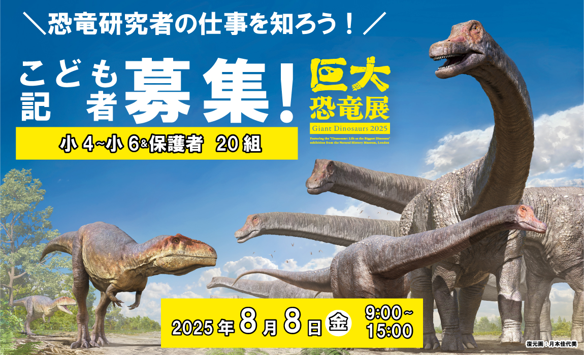 giantdinos_ex's tweet image. \募集締め切りは7月6日/
恐竜記者になろう!🦖📷
恐竜研究者や新聞記者の仕事を学ぶ、小学生向け「新聞教室」
#こども記者として #巨大恐竜展 を取材して、オリジナル新聞を作ります。
展示を監修した #福井県立恐竜博物館 関谷透・主任研究員に仕事や鑑賞のポイントをインタビューしよう🎤…