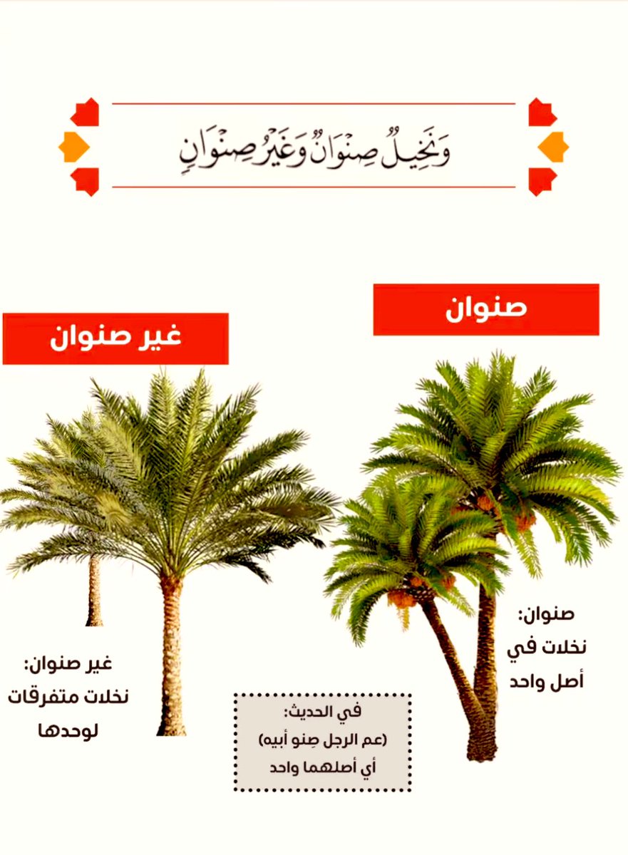 مَجَالِس أَدَبِيَّة (@arabiclit) on Twitter photo 