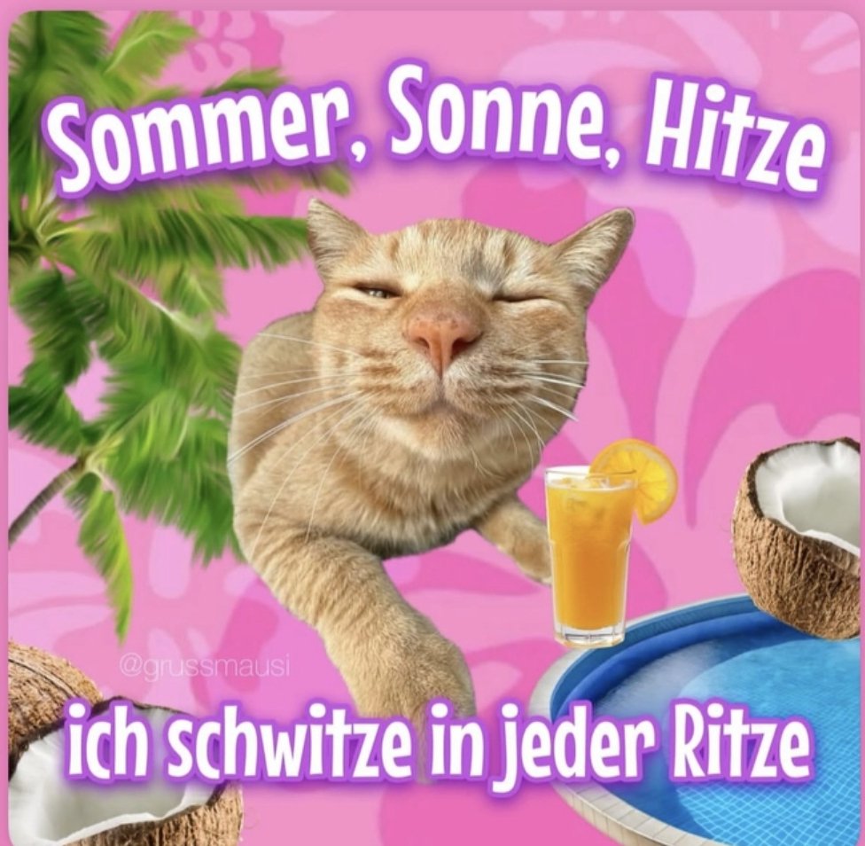 aggressiver Alman (@jimdajibbler) on Twitter photo 