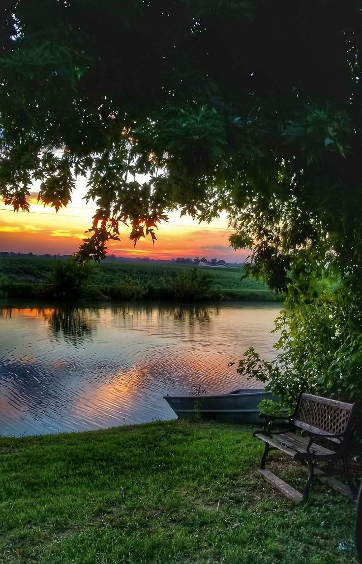 حينما تُغلَقُ الأبوابُ في وجهِ البشر، يُفتحُ بابُ السماءِ لا يغلق، وتُستجابُ الدعواتُ بلا حائل."