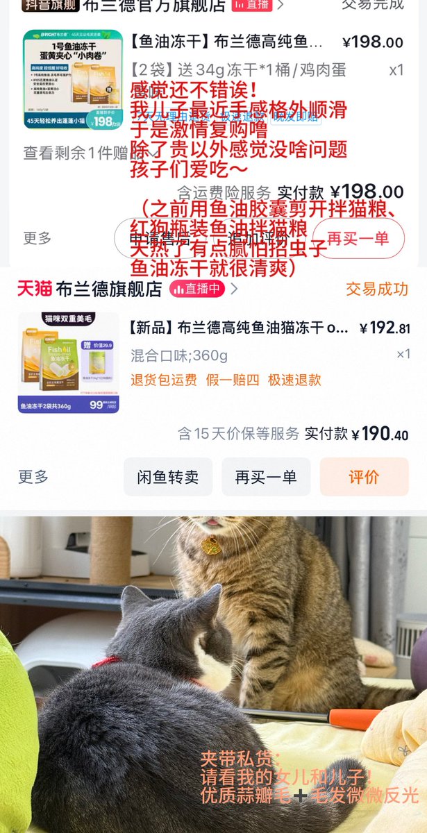 狼 tweet media