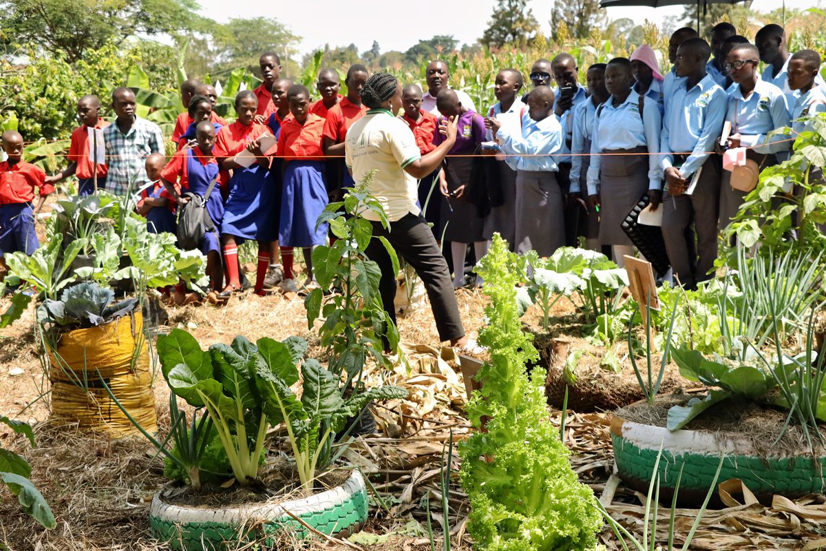 narouganda's tweet image. Unlock your small compound's potential with Tyre Garden, an Urban Farming methodology.
Wondering how it's done? Ask @NARO_MUZARDI
See it in action with @SandraNabasirye
#Agricshow2025