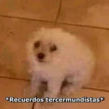 turboZen889's tweet photo. @CerebrosG Grande el gesto pero no quita que está más culero que el hambre el kabron https://t.co/k3l16ReY2e