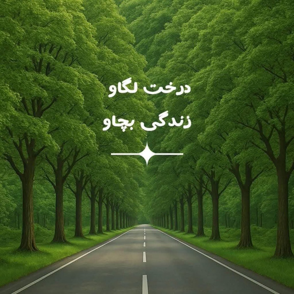 handollwithcare's tweet image. درخت ا قیمتی سرمایہ ہیں
13جولائ سےساون کامہینہ شروع ہورہاہے
ساون میں سوکھی لکڑی بھی زمین میں لگا دیجاۓ توسبزہوجاتی ہے یعنی ساون ھمہ قسمی درخت اورقلمیں لگانے کے لیے موزوں ترین وقت ہےلہذادرخت لگانے کی تیاری شروع کردیں تاکہ بڑھتےہوۓ درجہ حرارت پرقابوپایاجاسکے

#publicservicemessage