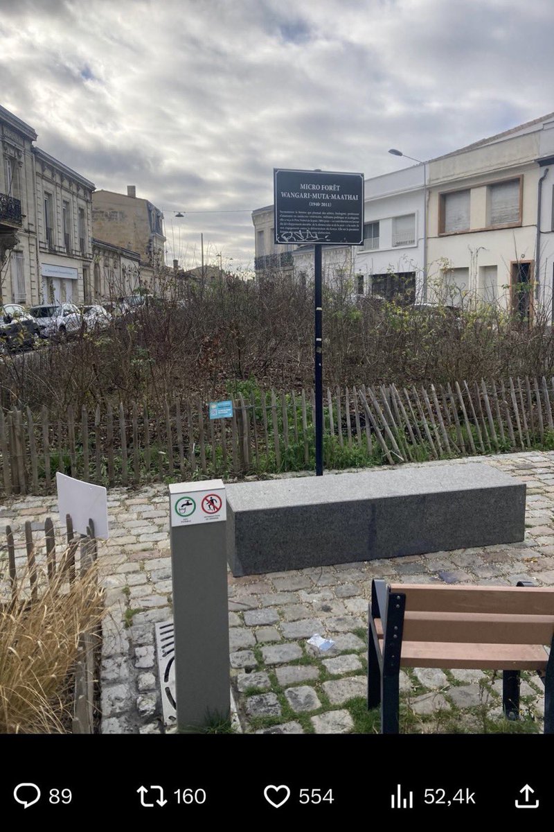 <a href="/marinetondelier/">Marine Tondelier</a> UNE « micro forêt » d’îlot de fraîcheur à Bordeaux depuis 2020, que voici :