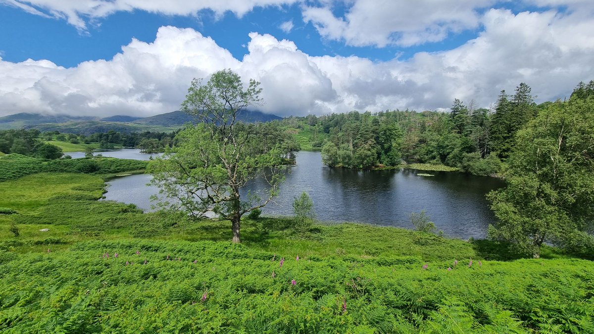 Constable Chaos tweet media