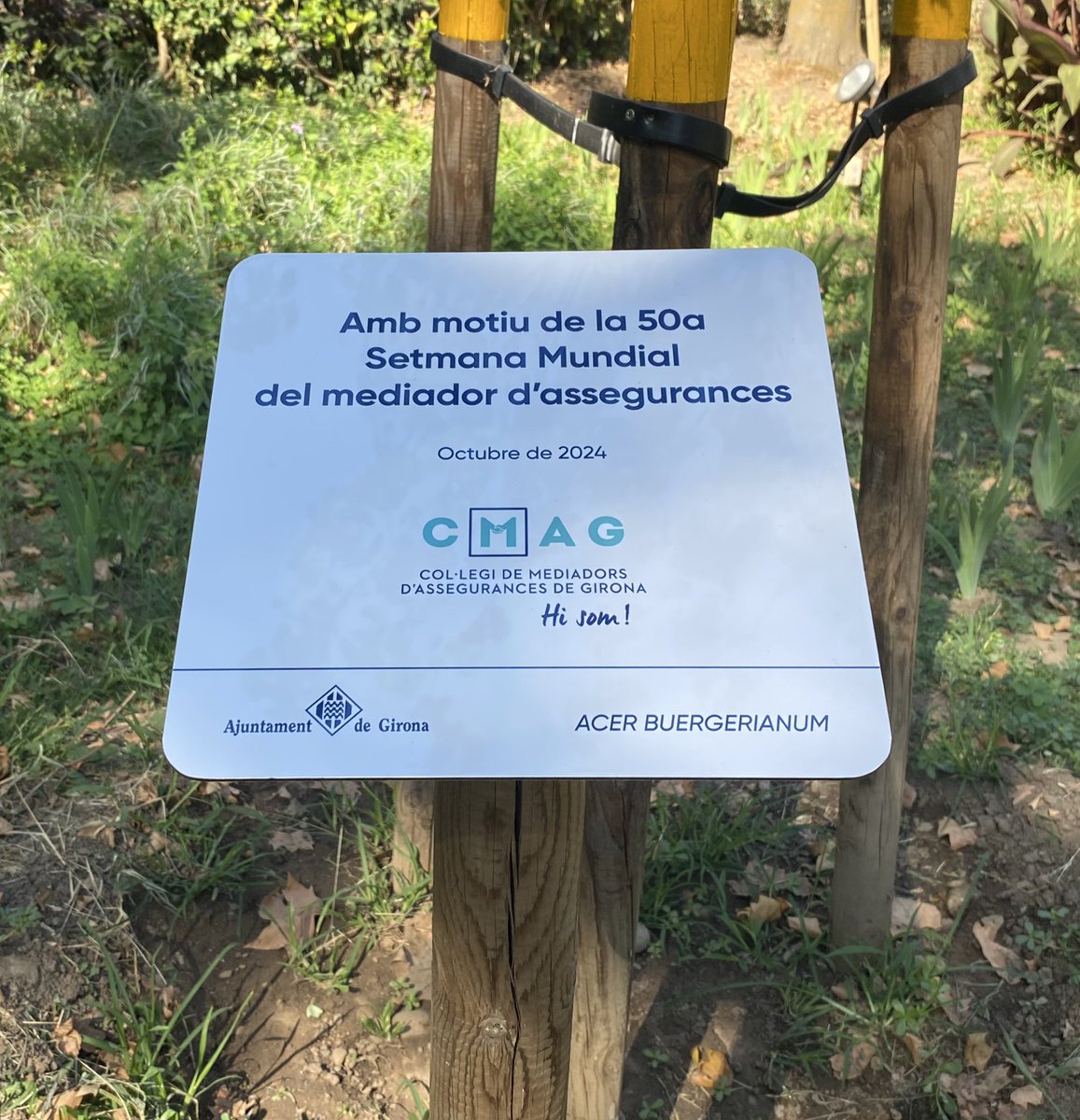 Avui hem col·locat la placa commemorativa de l’arbre plantat pels 50 anys de la Setmana Mundial del Mediador d’Assegurances de Girona. 🌳
Un gest simbòlic d’arrelament, sostenibilitat i futur! 🌱✨