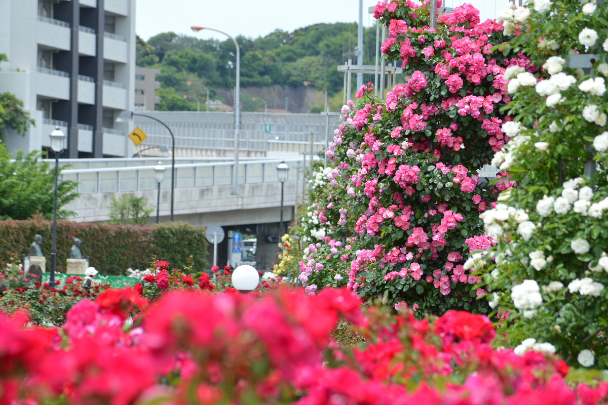 7月3日(木)
おはようございます🎶