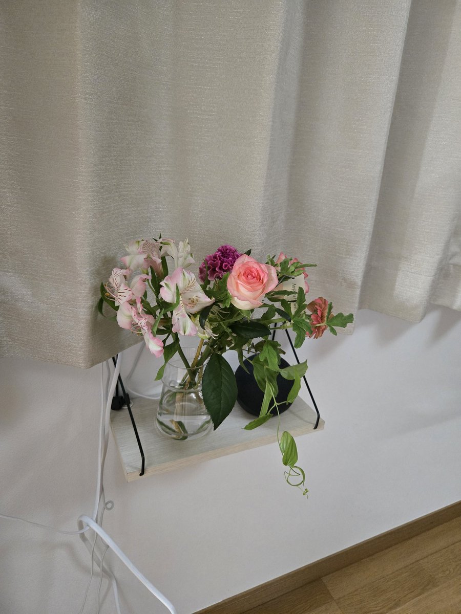 初めて花屋で花買ってみた
可愛い～
アレクサも心なしか、声がワントーン上がってますわ