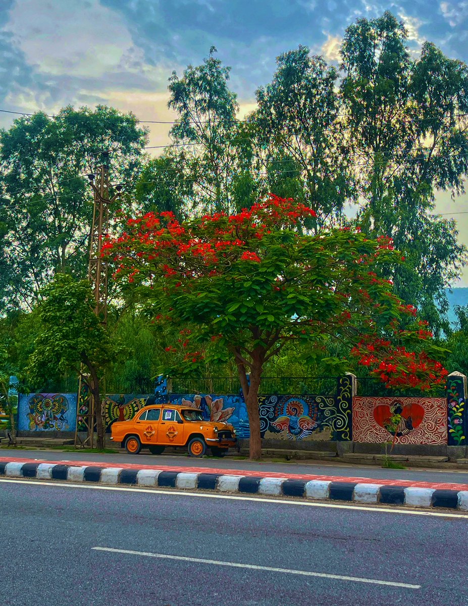 ankushtweets's tweet image. “The pictures are there, and you just take them”
—Robert Capa

#ankush_clicks 
#ThePhotoHour 
#StormHour