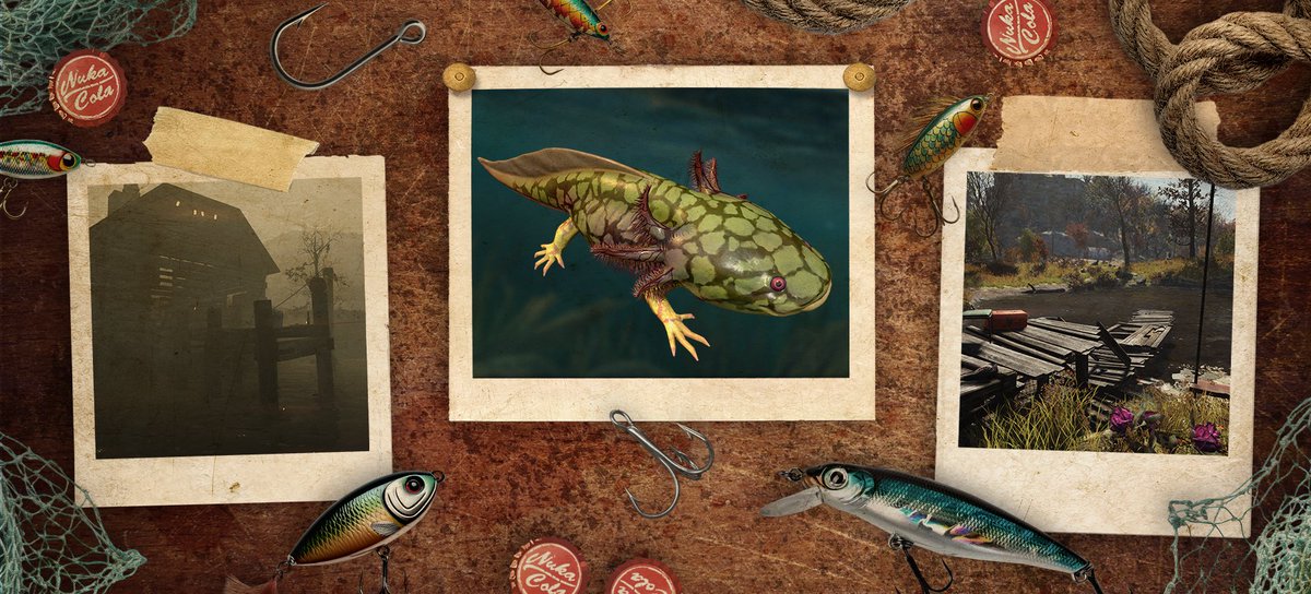 bethesda_ESP's tweet photo. ¡Un nuevo ajolote ha llegado a Appalachia! 👀 #Fallout76

Aquí tienes una pista: en las regiones del bosque y el montón de cenizas, ¡aquí es donde se esconde el ajolote escamoso! 🎣 https://t.co/XTfBQsJmEl