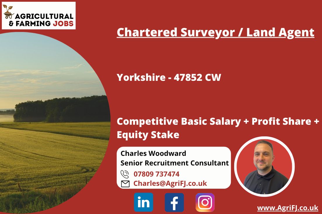 Agriculturaljob's tweet photo. New Job Opportunity - Chartered Surveyor / Land Agent
📍 Yorkshire 
💰 Competitive Basic Salary + Profit Share + Equity Stake 

For further information, please contact Charles on 📞 07809 737474 or 📧 Charles@AgriFJ.co.uk

#agrifj #charteredsurveyor #landagent #surveyor https://t.co/U0Czfs6FG5