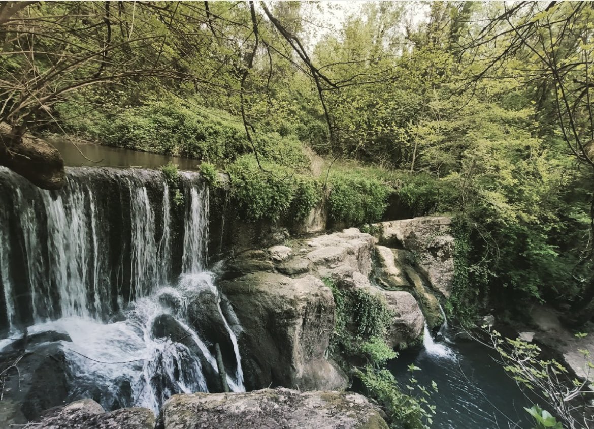 🌿 Regulació als Gorgs de Santa Pau. Del 02/07 al 31/08, regulem l’accés per protegir aquest espai natural 🌱

📍 Aparcament temporal
 6 €/vehicle) 
🔗 Reserva 👉 visitsantapau.com

👥 Comptem amb joves locals, informadors i brigada ambiental per vetllar pel bon ús.