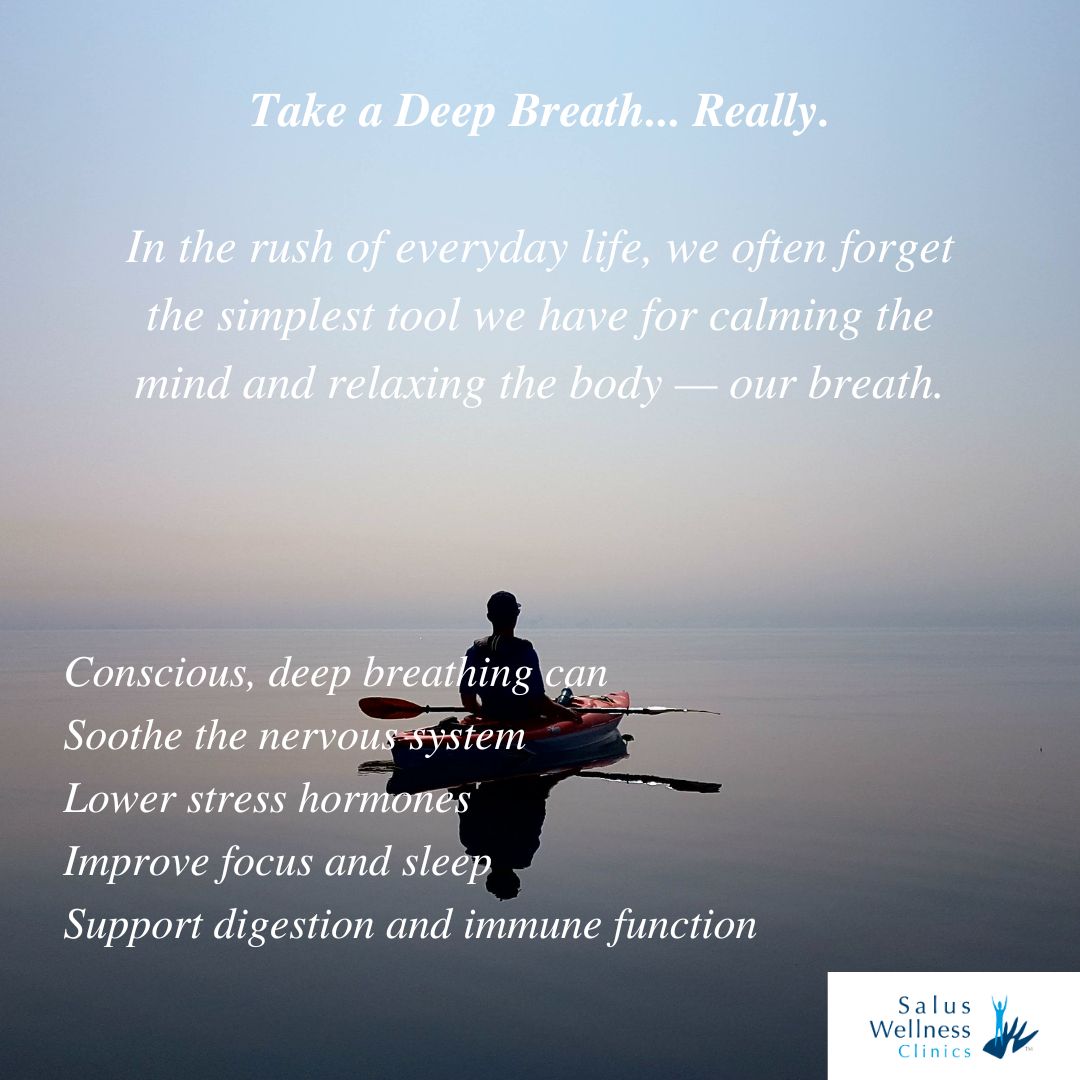 Salus Wellness tweet media