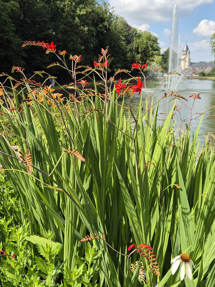 Carine Zanette tweet media