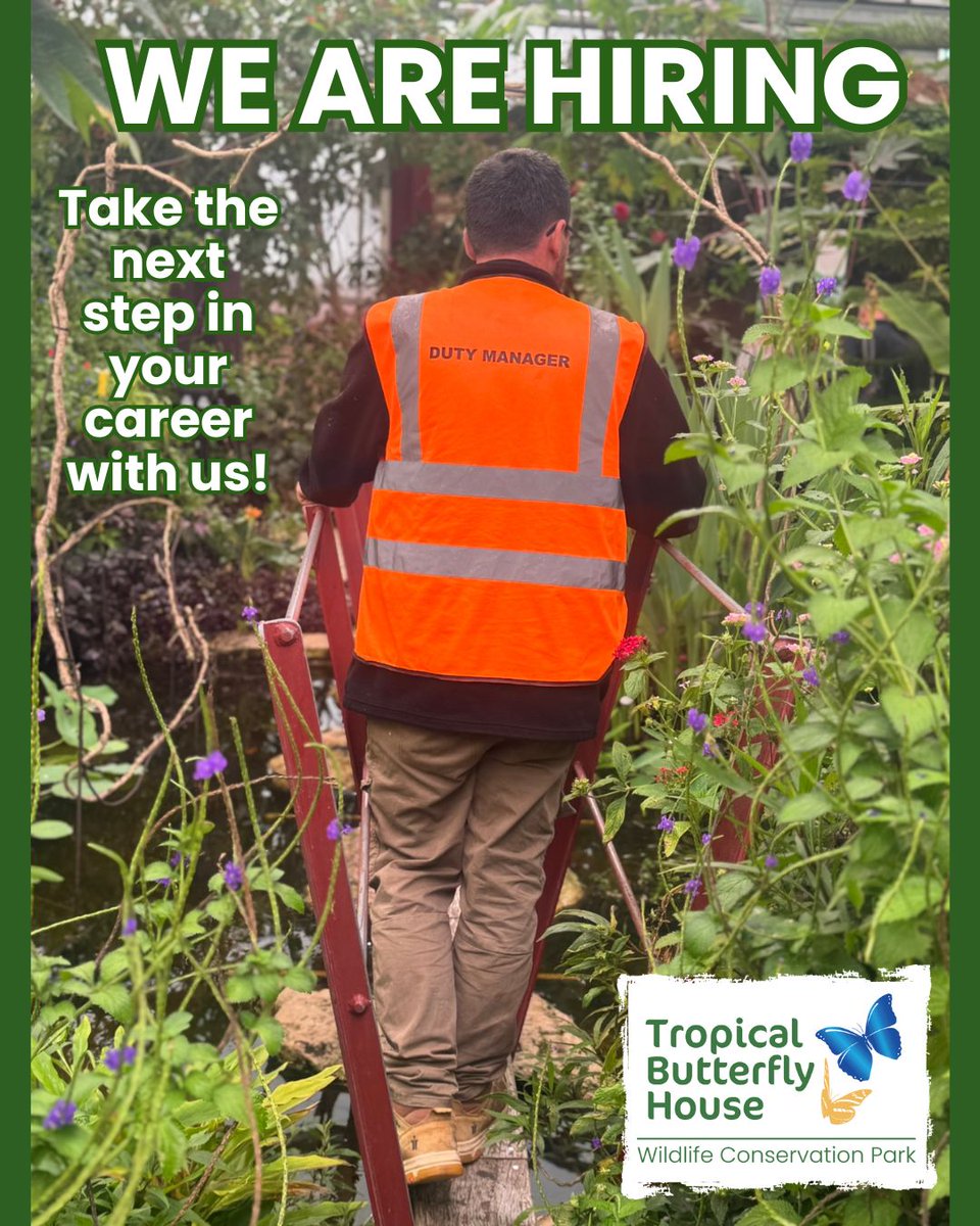 WE ARE HIRING! Duty Manager (24 hr contract - 3 days a week) Visit our page on Indeed for more information &amp; to apply!
uk.indeed.com/jobs?q=Tropica…

#tropicalbutterflyhouse #recruiting #newjob #jobs #CareerOpportunities #dutymanager #workforus