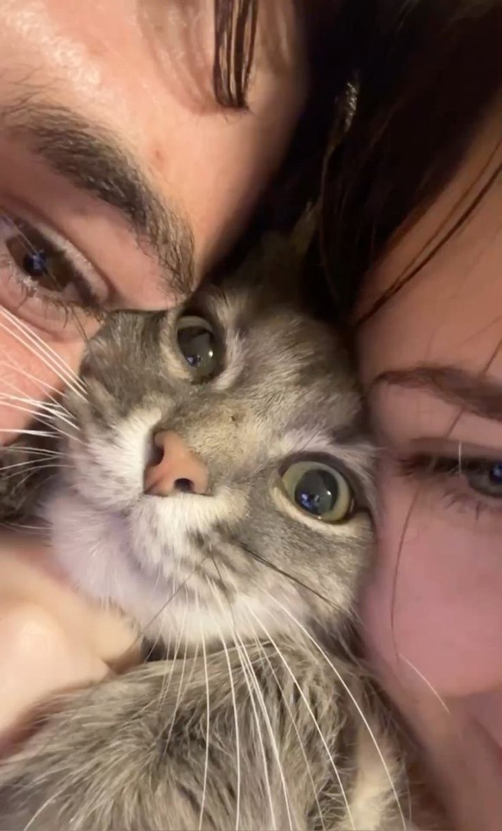 The Cats 𝕏 (@thecatsx) on Twitter photo 