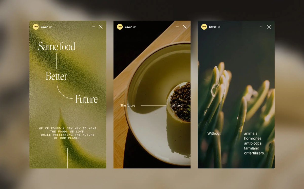 thisisgrey tweet media