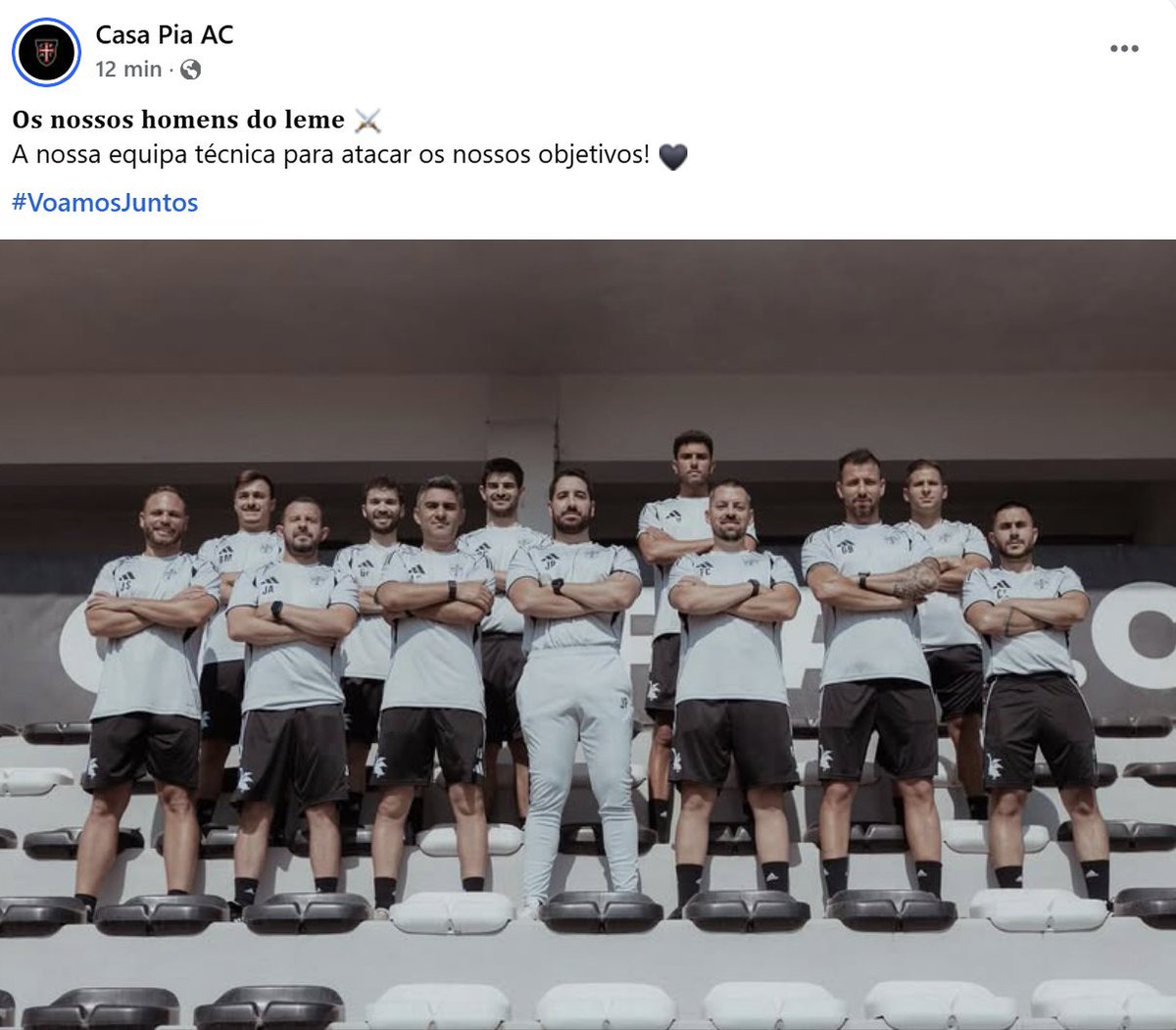 Vamos a eles, gansos!
