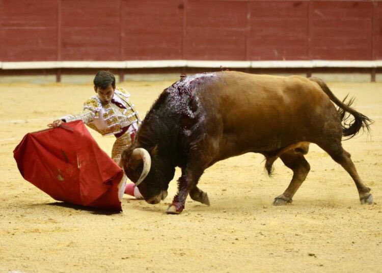 Ismael Martín tweet media