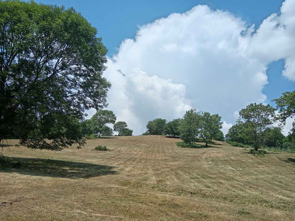 És aviat i ja surt a veure'ns, avui regarem de veritat.
La Pubilla de Can Marçal 😍
#SenyalsDelTemps... 
A muntanya estem fets d'històries.
Res no seríem sense les velles històries...
#Pertinença ❤️