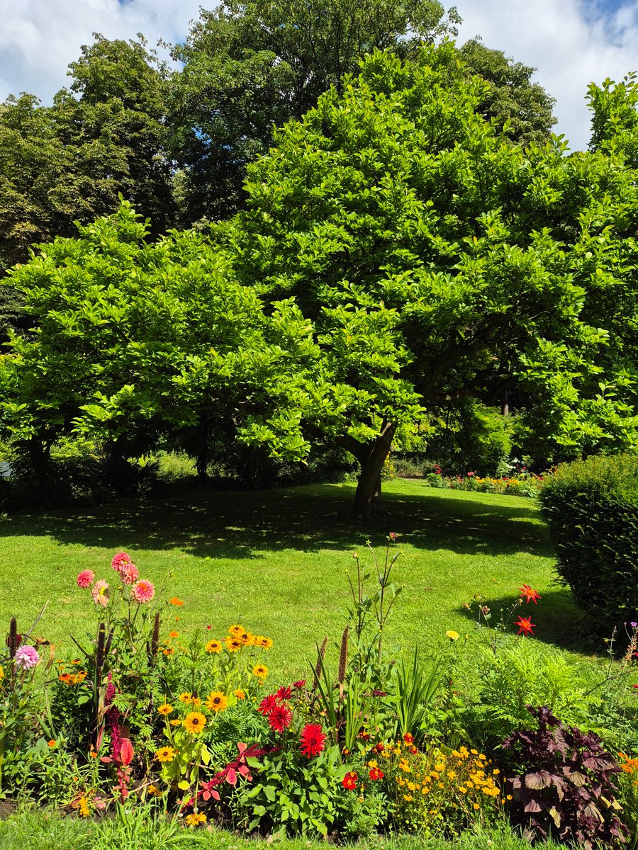 Carine Zanette tweet media