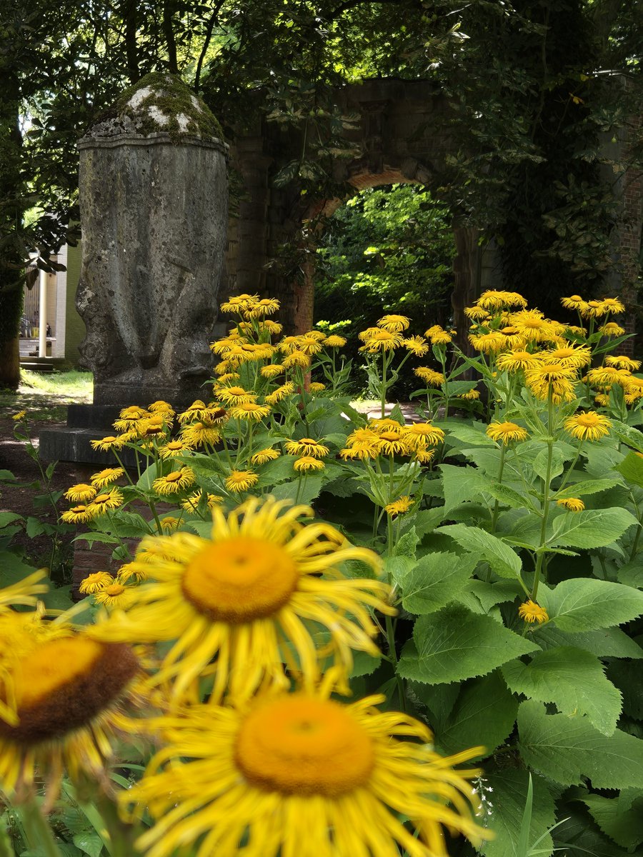 Carine Zanette tweet media