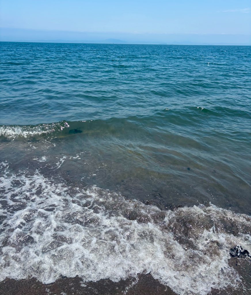 MRSpoipoi's tweet image. 早めの夏をしてきた🌊