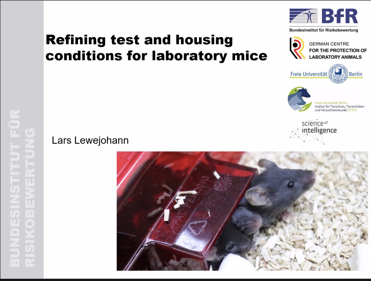 BaselDec's tweet image. Our first Keynote at #ART2025 Improving housing conditions by Lars Lowenjohann #animalwelfare #animalresearch