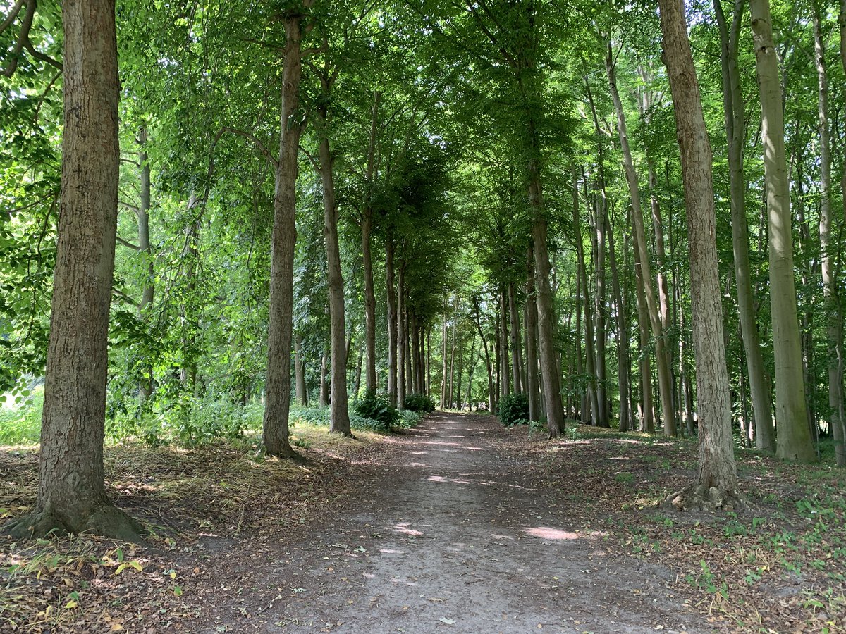 mariacggnoord's tweet photo. Op zoek naar een #koele #plek ?Kom dan naar de #menkemaborg daar is het heerlijk #koel maar ook rond de singels van de borg, de #doolhof , onder de #perenberceau en onder de prachtige #rozentunnels https://t.co/gFnjw5AgBR
