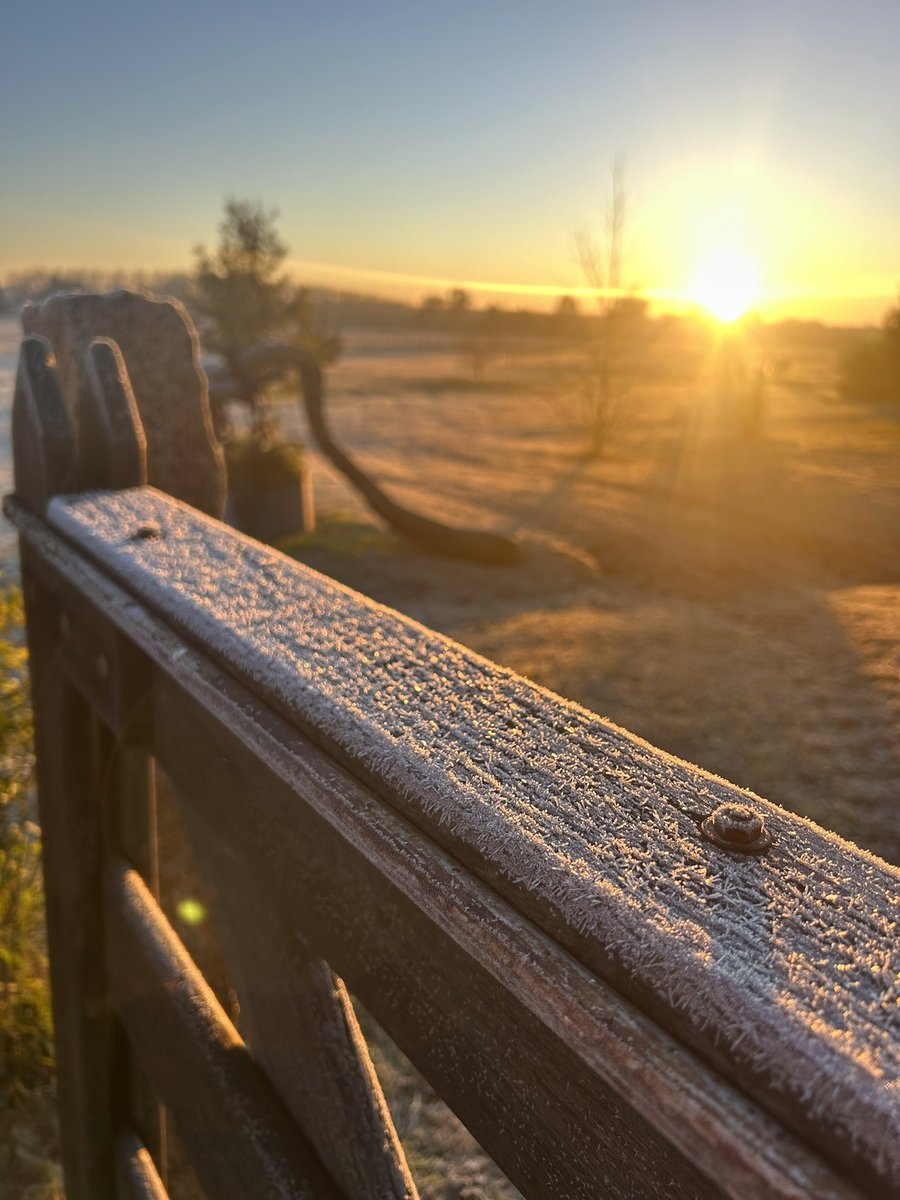 Hermosa mañana bien invernal ❄️