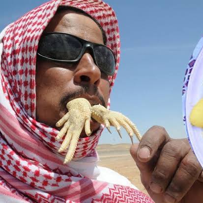 بالمناسبة الوزير كامل اتخلبط فعلا أثناء شرح مشروع  و قال Ipossible بدل impossible كمقولة مفادها "المستحيل أصبح ممكن" و حصل عليها قلش يوم كده في الفيسبوك و تويتر المصري و عيهيعيخوخوخو  أنه غير متمكن من اللغة بصورة قوية و الموضوع انتهى و اتفرقوا الخالات 

لكن التعوسي بصورم راقد في