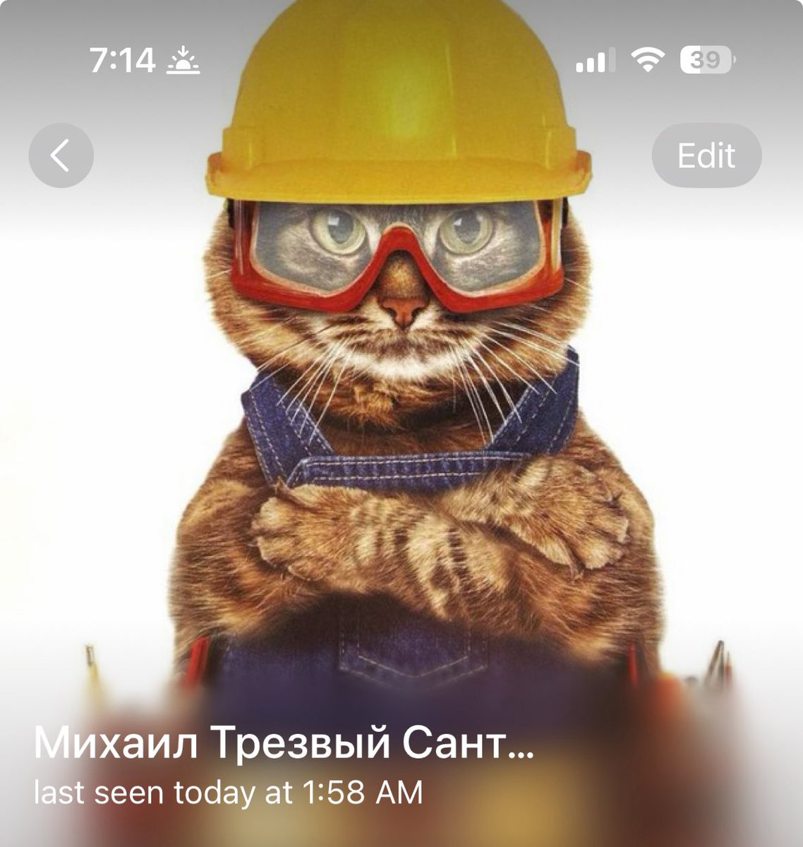 листая контакты в тг..