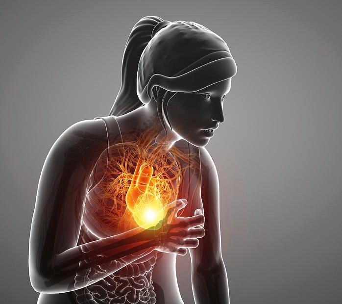 boynbn360's tweet image. Kaizer Chiefs fans right now:

#oswin #appollis #OnceAndAlways