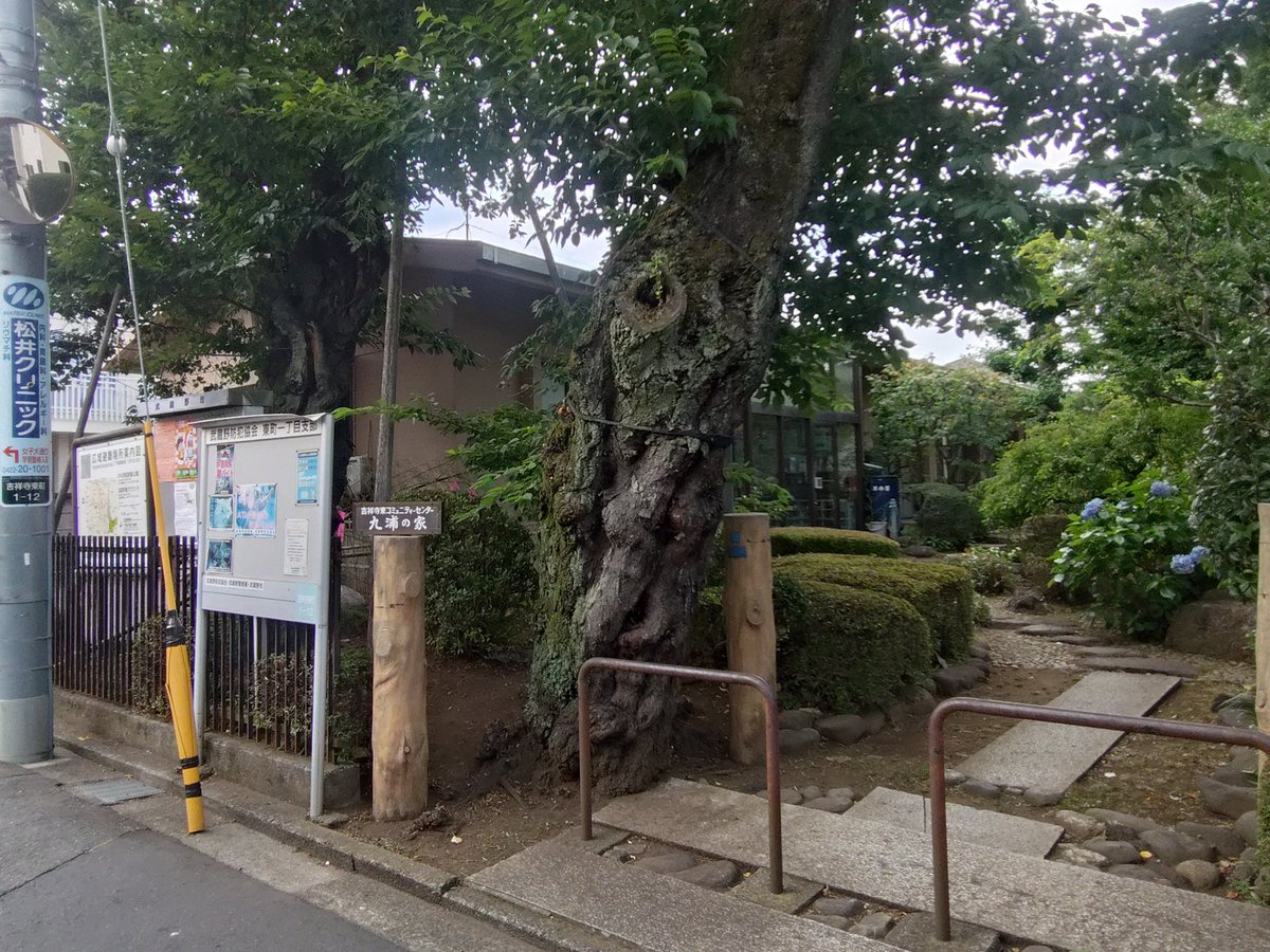 初めて、東町コミュニティセンターで打合せをしてきました！とてもお庭が素敵なところで、今からとても楽しみです！
We had our first meeting at the Kichijoji east  Community Center! The garden there is beautiful — can’t wait for what’s coming
#吉祥寺 #赤い椅子プロジェクト #kichijoji