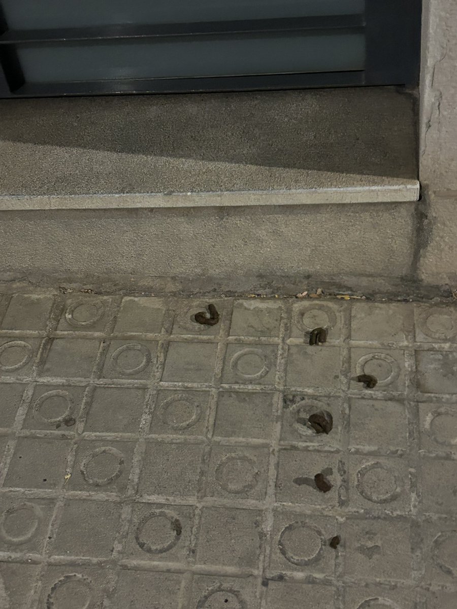 Visca l’amo del putu gos que es caga devant de casa. Menys platges per a gossos i més neteja i multes. <a href="/matarocat/">Ajuntament de Mataró</a> <a href="/DBotePaz/">David Bote Paz</a>