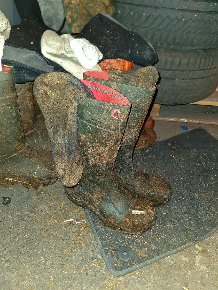 Biker_farmboy tweet media