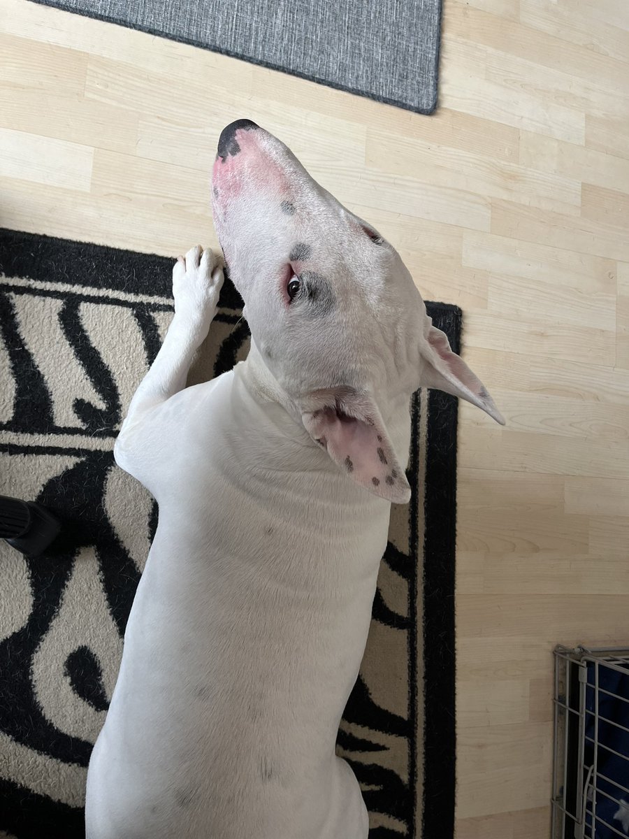 Have you really got to work today mum