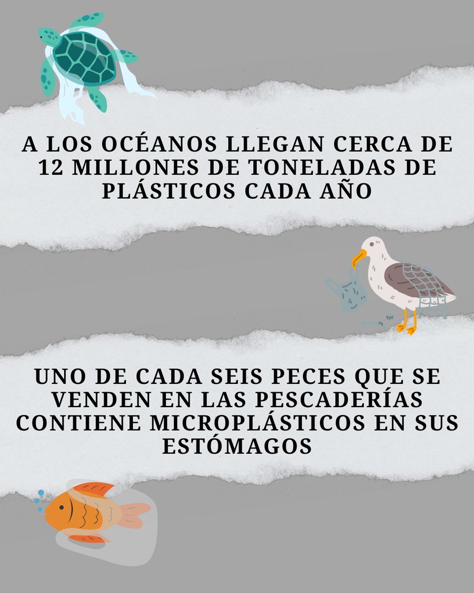 fempcomunica's tweet image. 3⃣ de julio, Día Internacional Libre de #Bolsas de Plástico 

🤔¿Sabías que una bolsa de #plástico tarda 500 años en descomponerse?

🧐¿Cuántas toneladas de plástico gasta una persona al año?

🐟¿Sabías que 1 de cada 3 pescados que se venden contiene #microplásticos en sus
