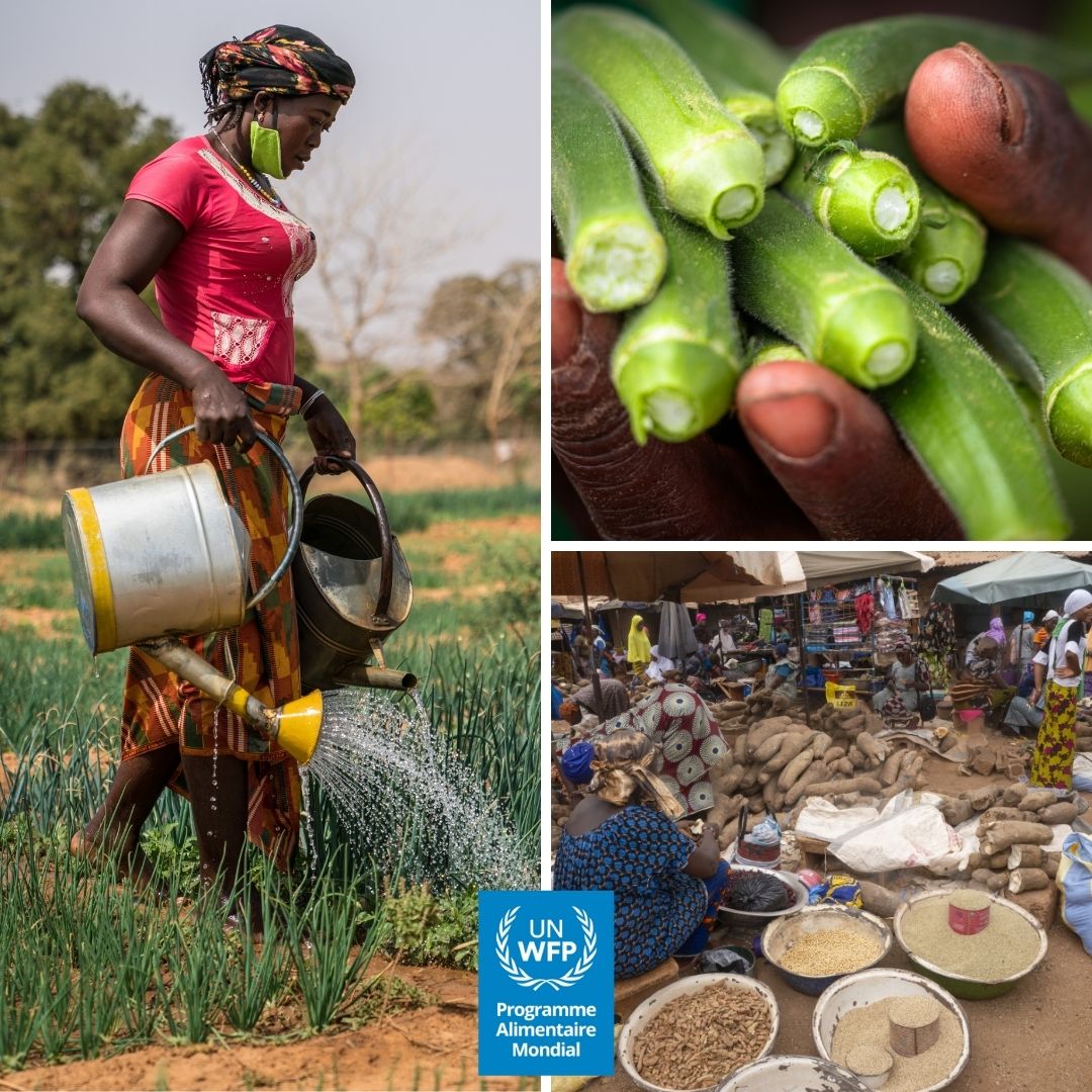 WFP_BurkinaFaso's tweet image. Avec l’appui de 🇰🇷 KOICA, le #PAM soutient une agriculture plus résiliente au #Burkina_Faso.
Les équipements remis producteurs de Zorgho & Zitenga vise à renforcer les capacités locales de production et sécurité alimentaire.
Merci à #KOICA pour son engagement durable!